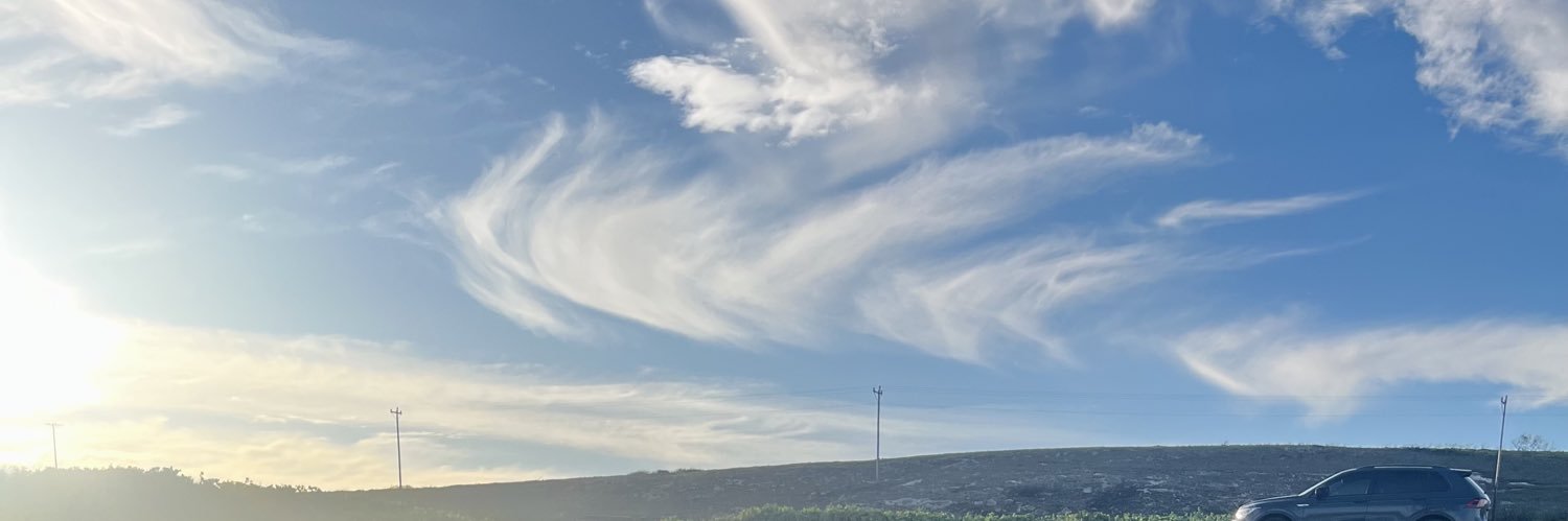 mluja's profile banner image