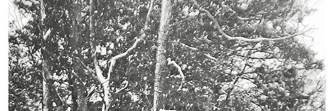 Amanda__JAE's profile banner image