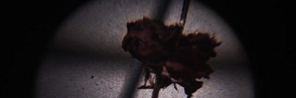 knifepIay_ Profile Banner