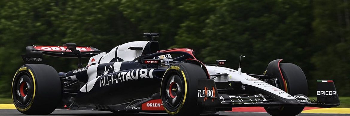 Daniel Ricciardo banner
