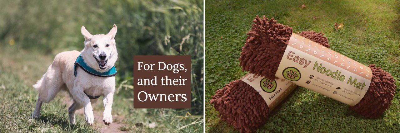 EasyPaws's profile banner image