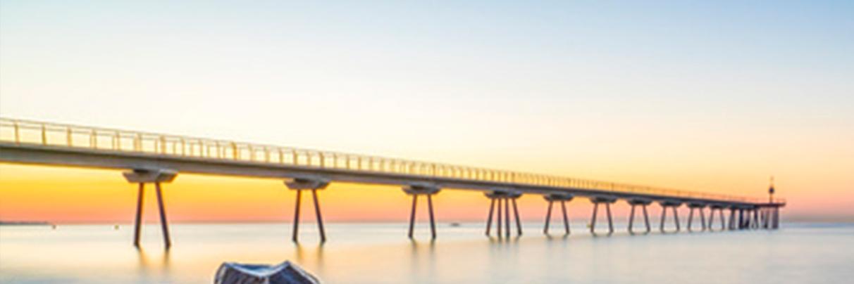 rogerviles's profile banner image