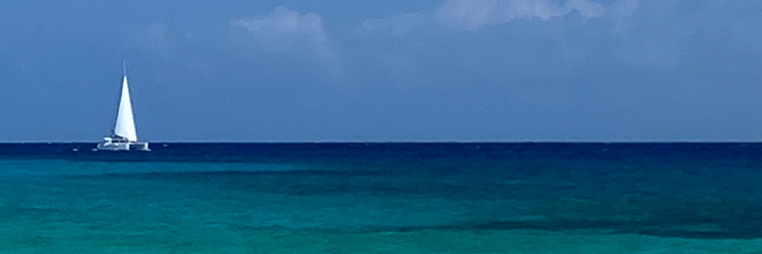ToyodaEmiko's profile banner image