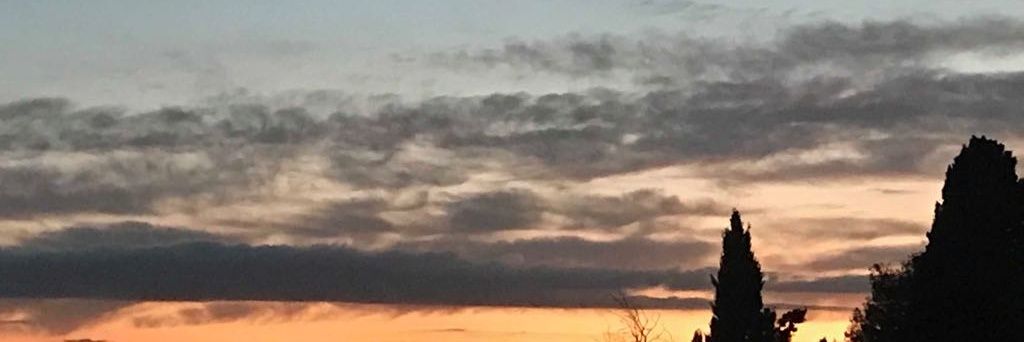 gemma robleda banner