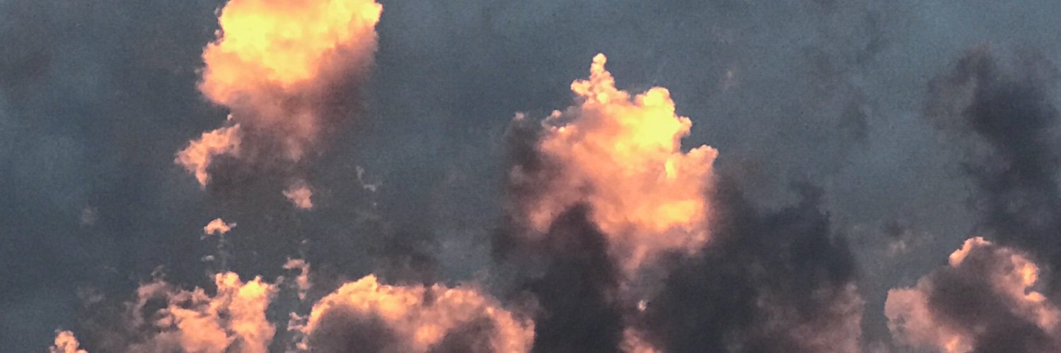 cleruc's profile banner image