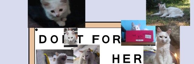 FacundoPuma's profile banner image