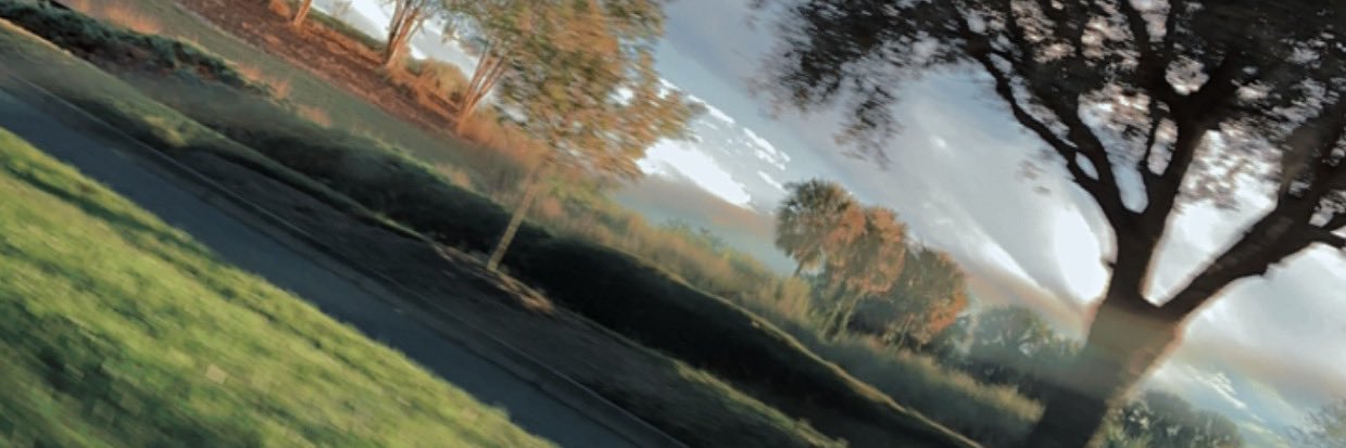 RileyJBird04's profile banner image