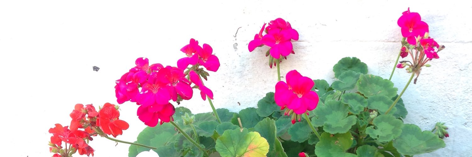 vikkiknit's profile banner image