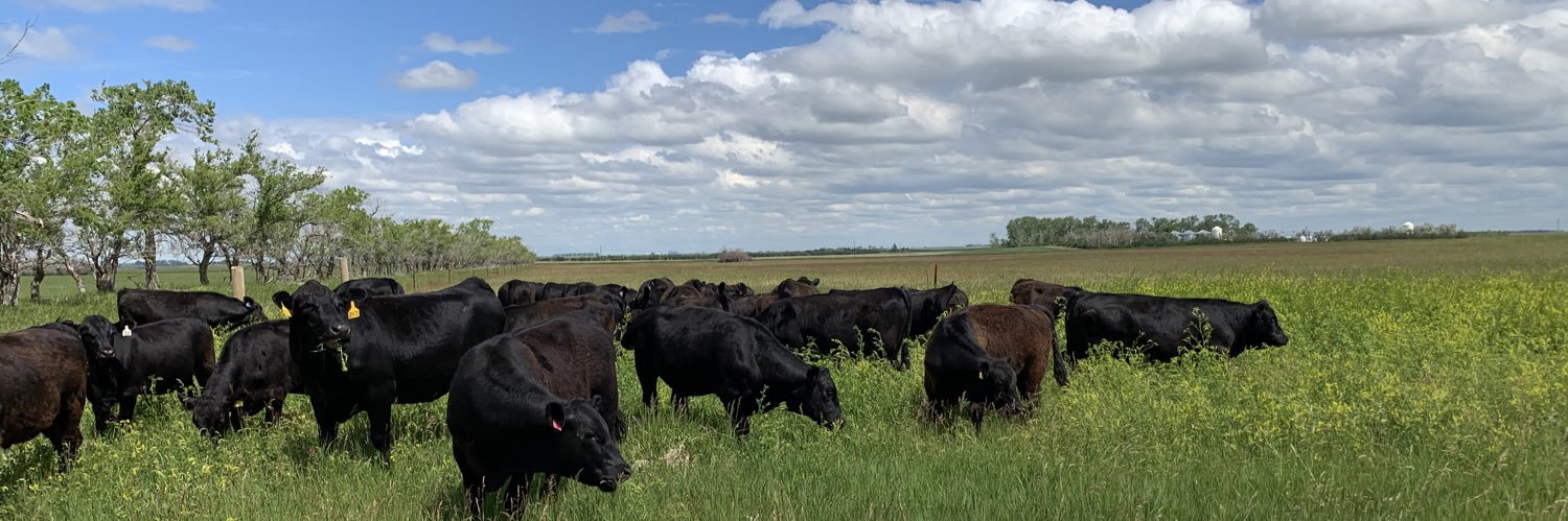 Morgan Jacobs banner