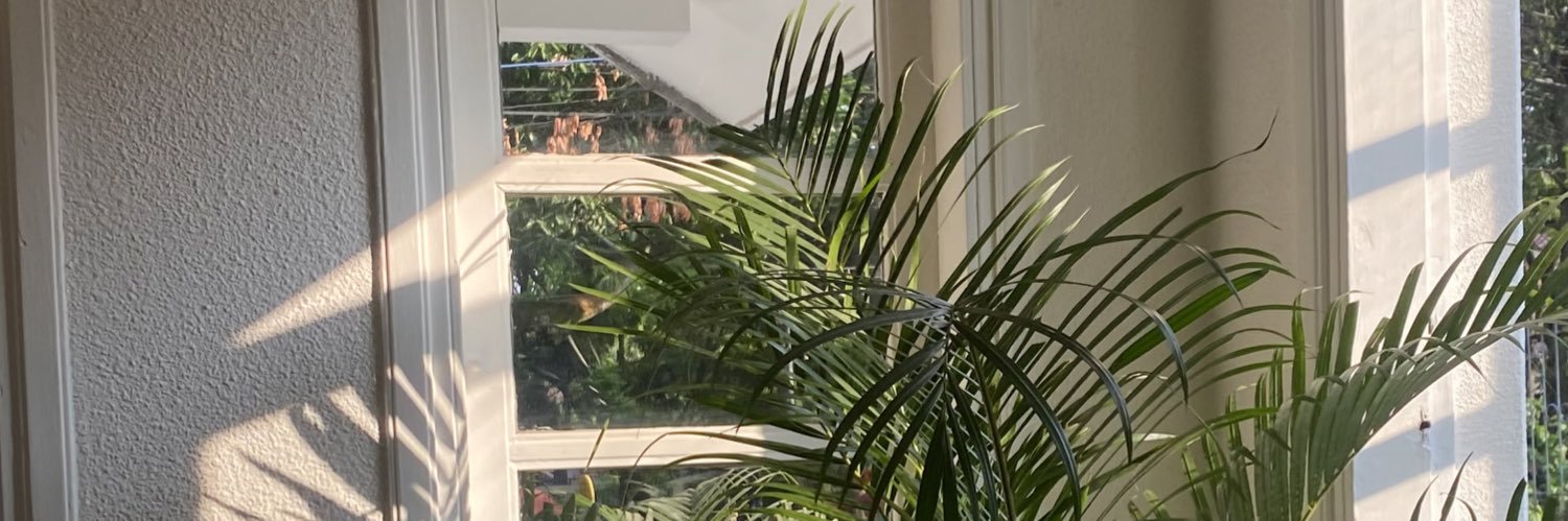 reii ✮⋆˙ banner