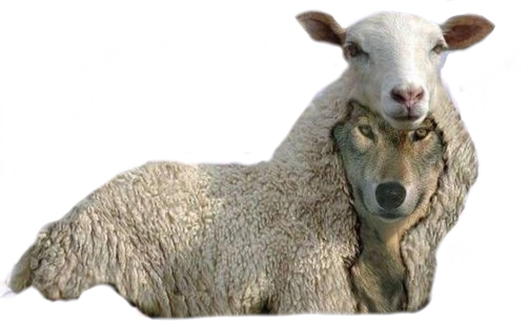 ᴏɴᴇᴋᴇʏ banner