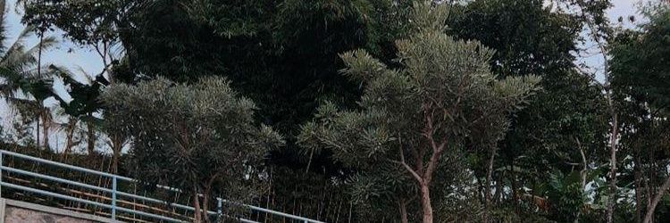 aqaqquarius's profile banner image
