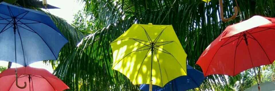 Yanniyan's profile banner image