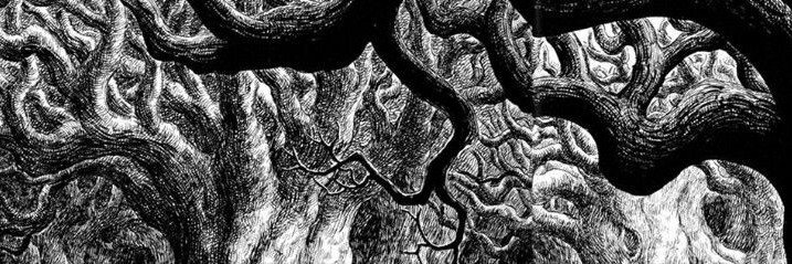 XxFanyxX69's profile banner image