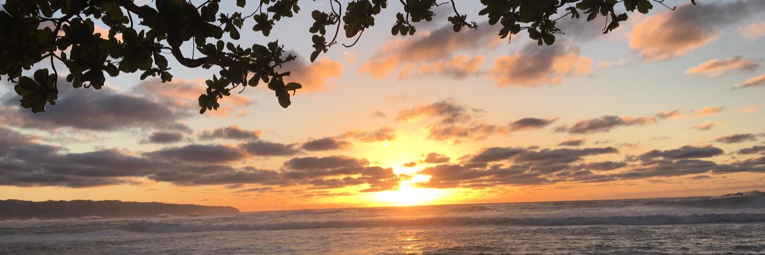 mayumibilly's profile banner image