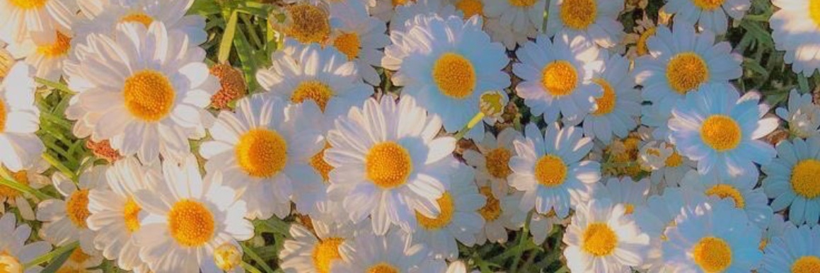 mariiveee_28's profile banner image