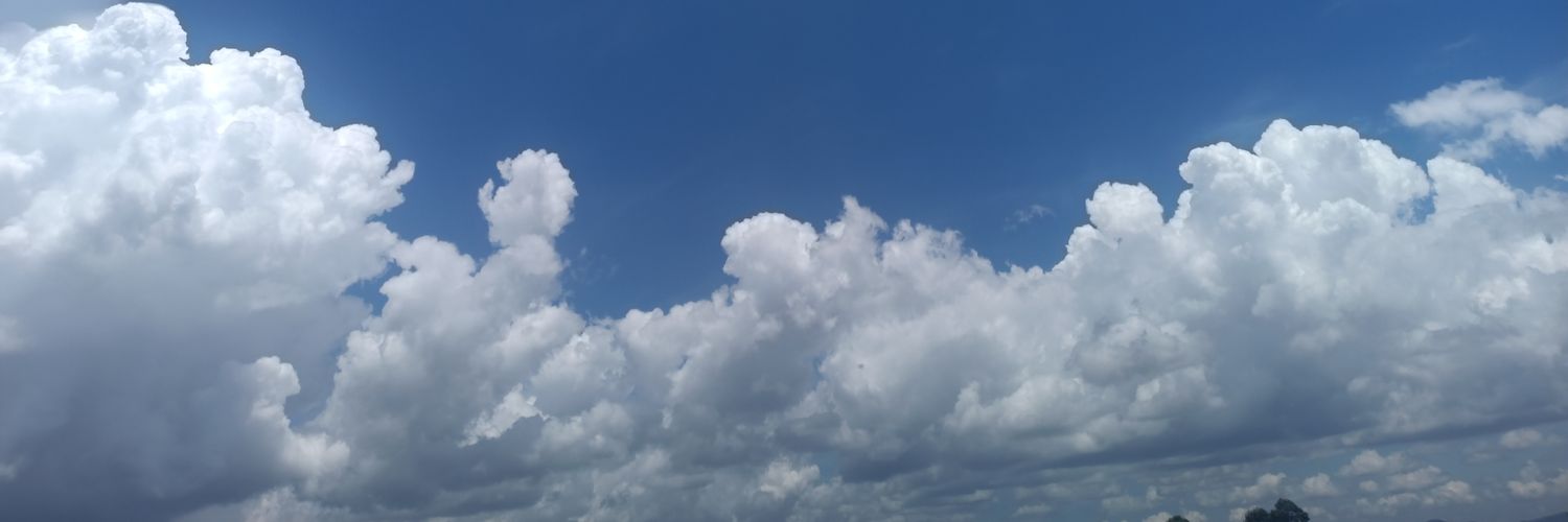 Elsa_Tri_t 🌥️💯's banner