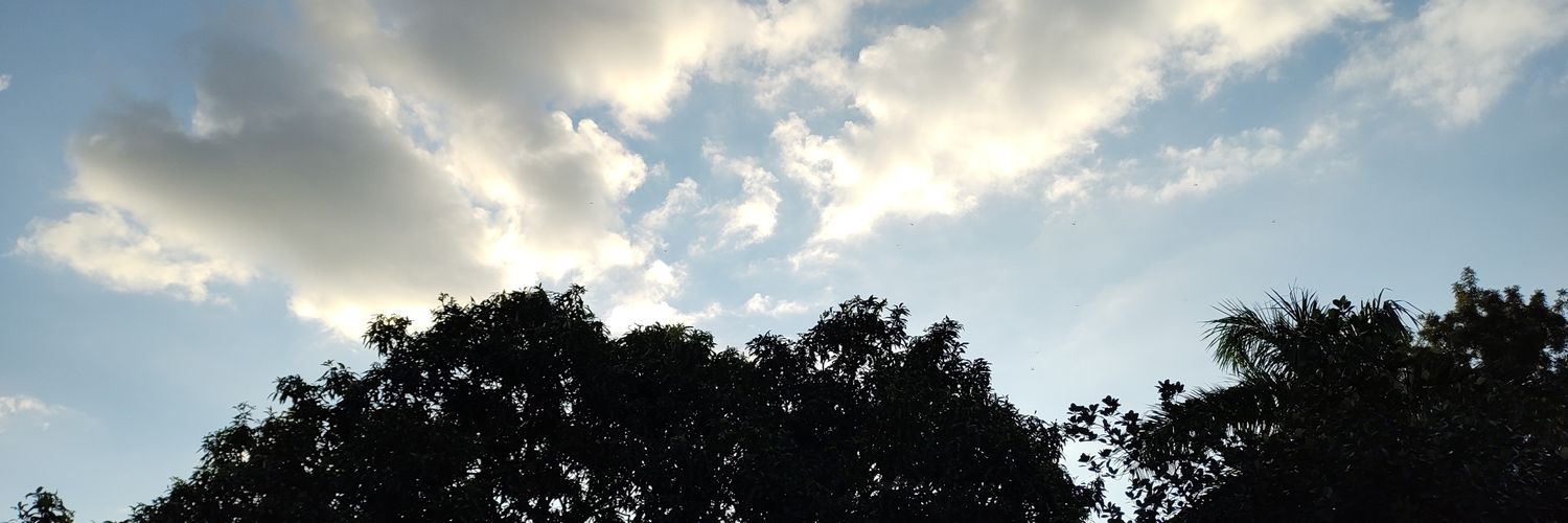 RicKwiK banner