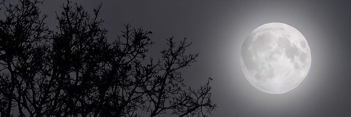 7acn_'s profile banner image