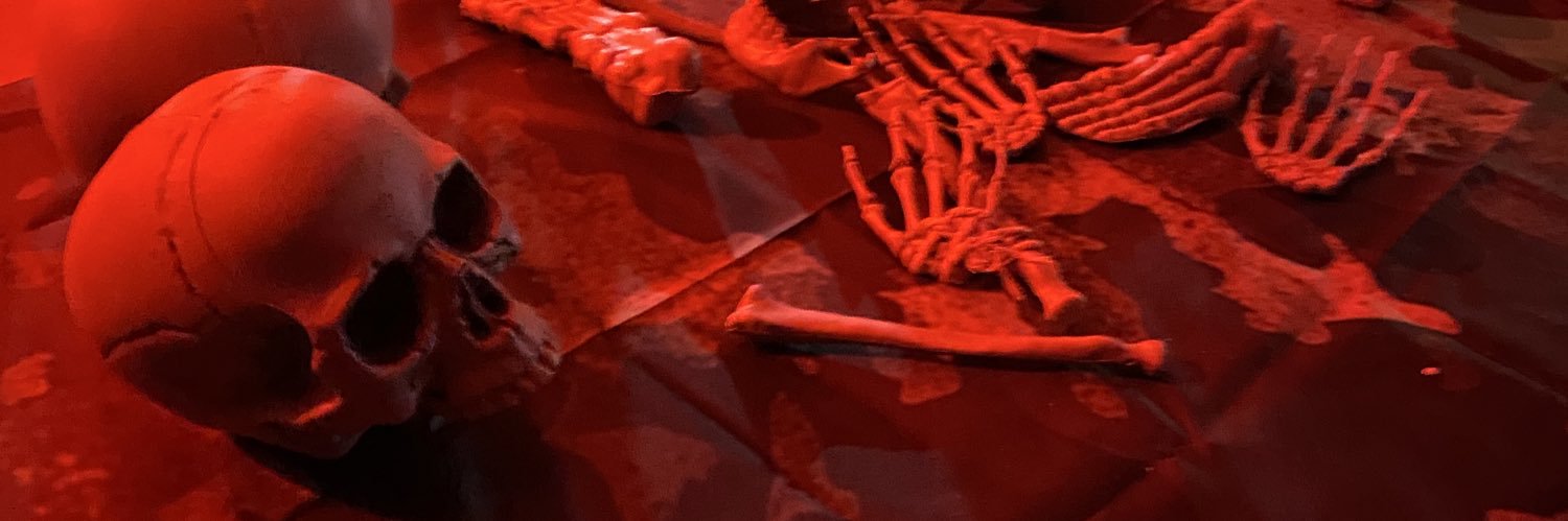 tinybatss's profile banner image