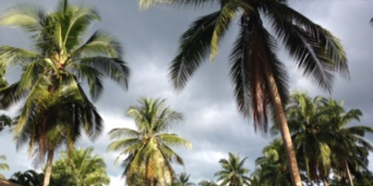 Candice Delorme banner