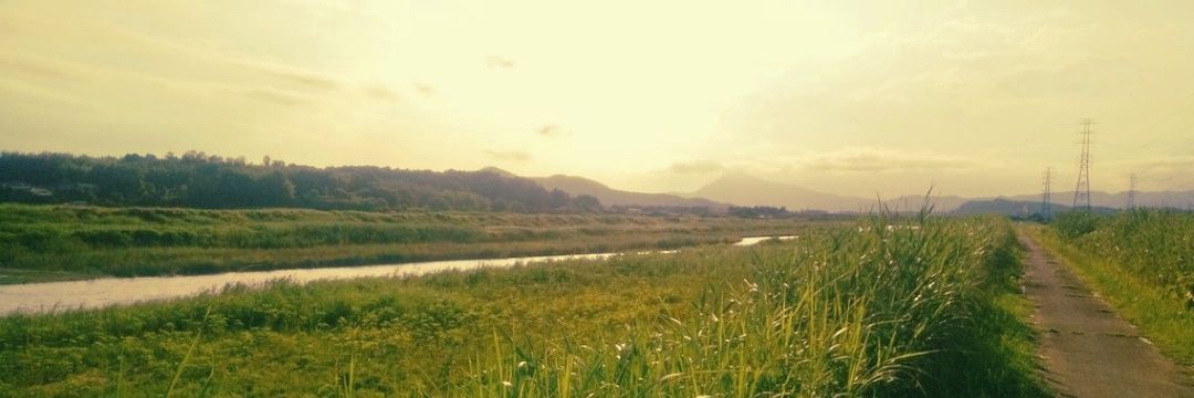 前₍₍ ᕕ( ᐛ )ᕗ⁾⁾₍₍ ᕕ( ᐖ )ᕗ⁾⁾ banner