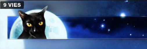 PalkiaVGC's profile banner image