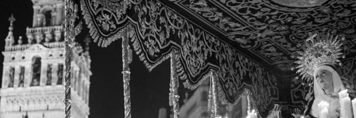 javier banner