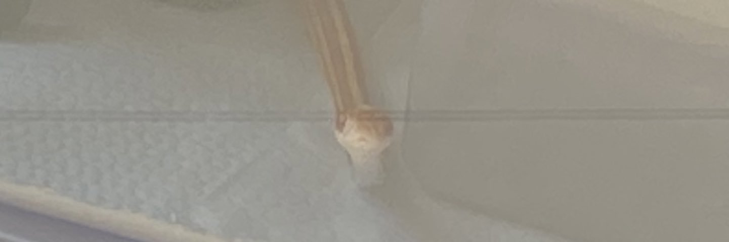 くろみつ꒰✩˙˟˙✩꒱✩⃛ೄ banner