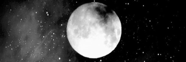 Thetorchettes banner