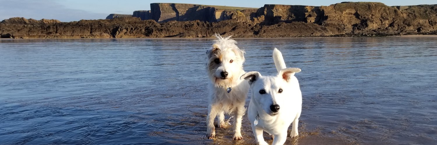 🌱Catherine Appleton banner