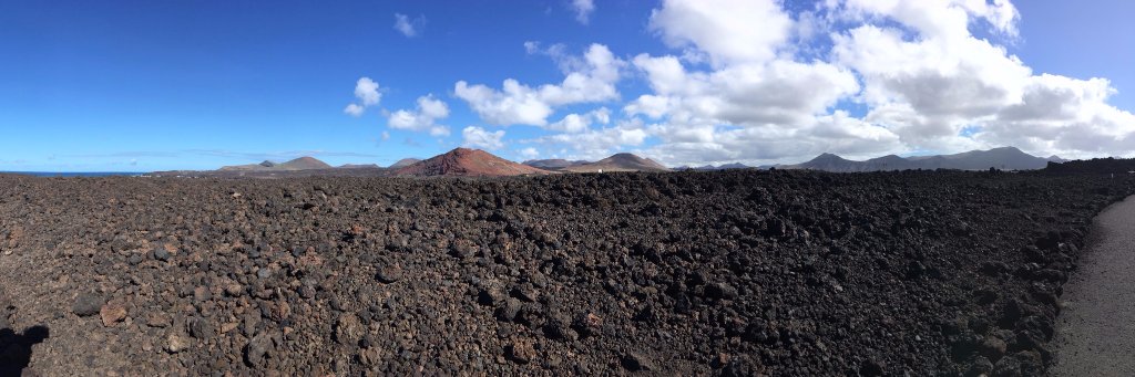Marlene Silva banner
