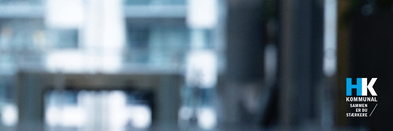 Lene Roed banner