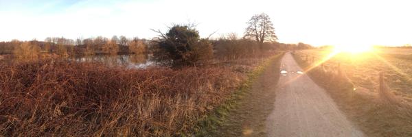 Laura_Champion Profile Banner