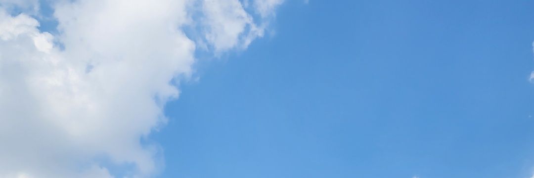 NiioC's profile banner image