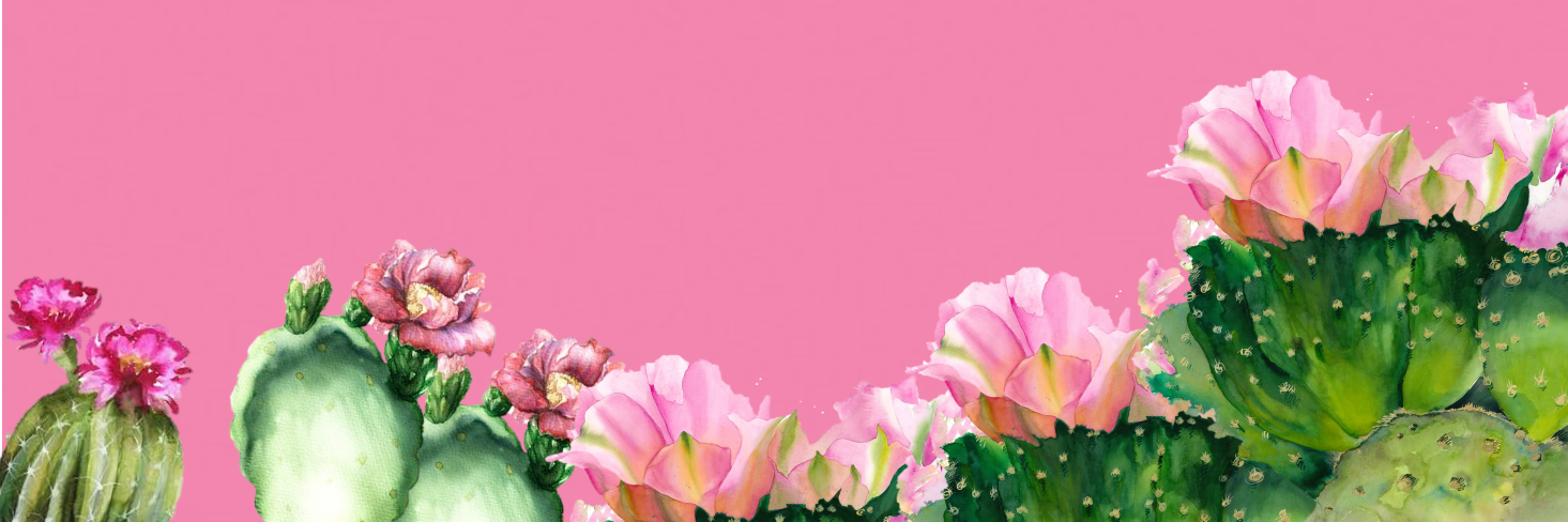 FAUSTII3's profile banner image