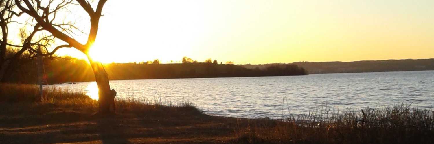 🌳 1Tree 🇸🇪 banner