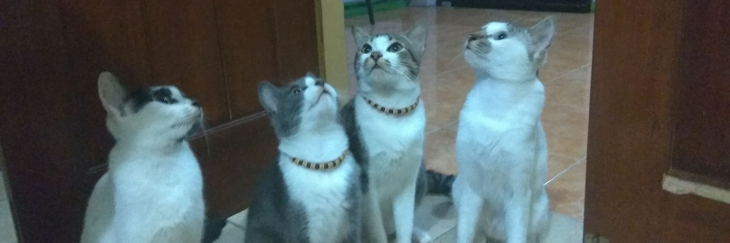 furrrr banner