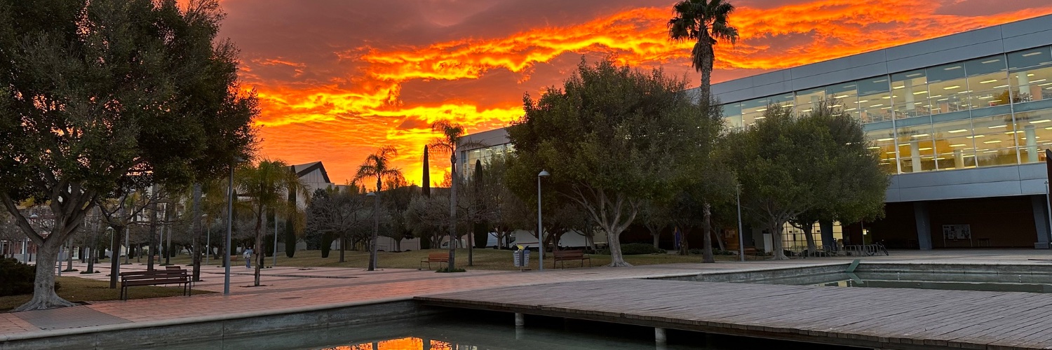 Carlos Alzugaray banner