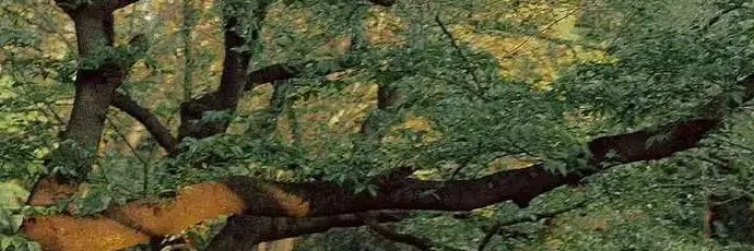 nariskomariah's profile banner image