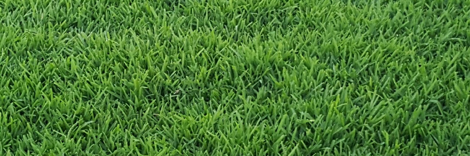 Danlandscaper's profile banner image
