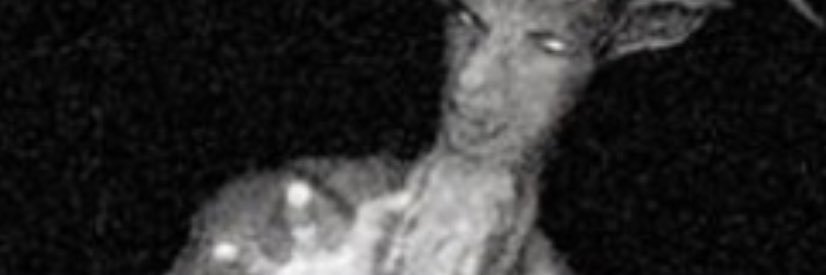 VictoriaKothe's profile banner image