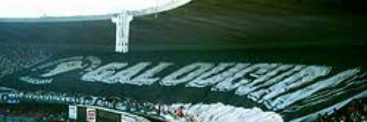 Daniell.silva banner