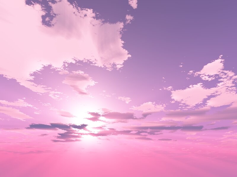 olivsheets's profile banner image