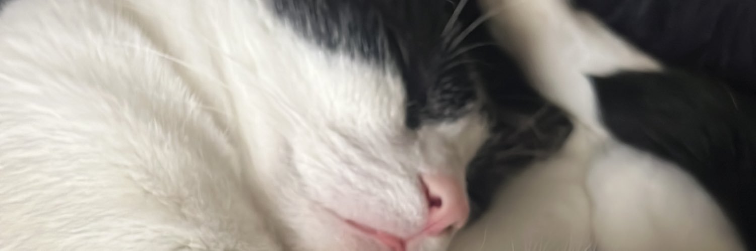 lexxxticyy's profile banner image