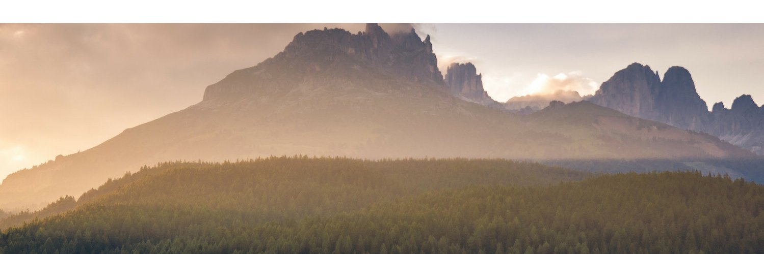 Leigh van der Loo banner