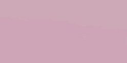 boyoungarchive's profile banner image