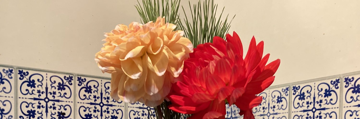 kisaragix's profile banner image