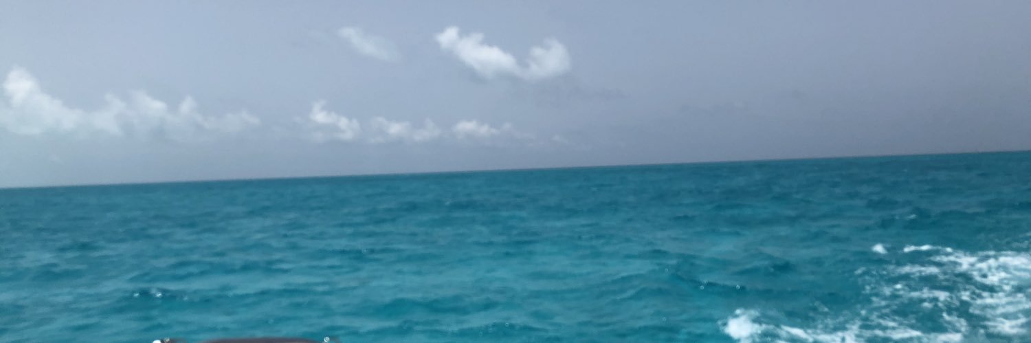 gilocaino's profile banner image