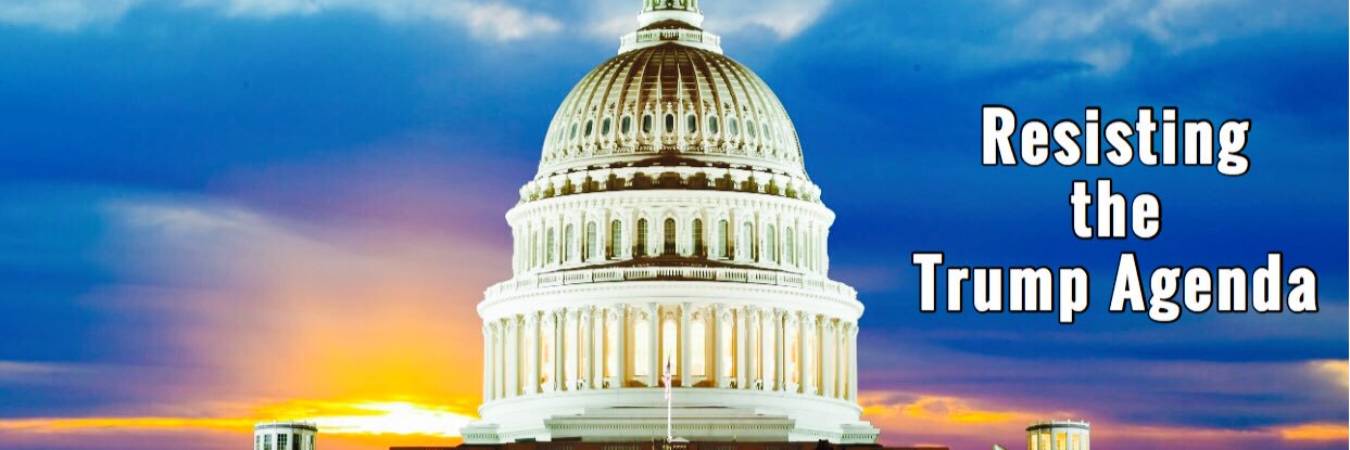 #Indivisible_SC banner